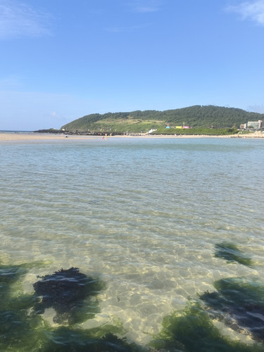 IMG 20240725 181538.jpg