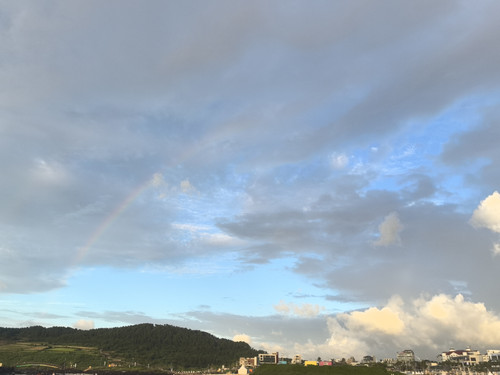 IMG 20240725 191148.jpg