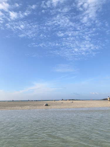 IMG 20240725 182511.jpg