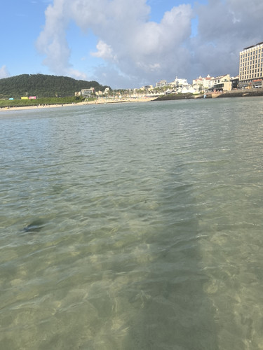 IMG 20240725 182500.jpg