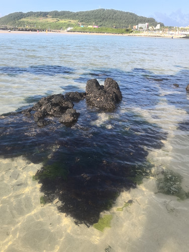 IMG 20240725 181456.jpg