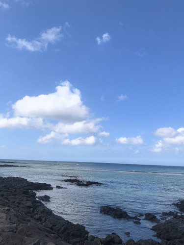 IMG 20240725 160122.jpg