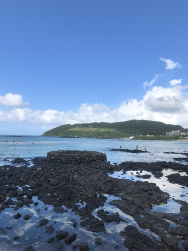 IMG 20240725 160143.jpg