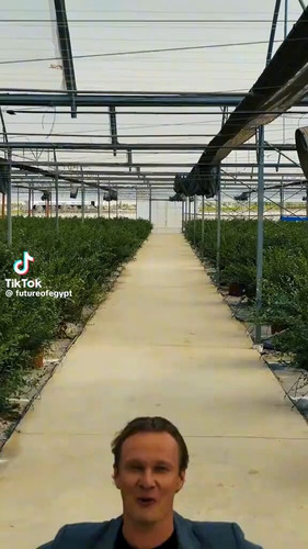 dFwVdB 61QMRJ6k .jpg