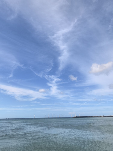 IMG 20240724 172301.jpg