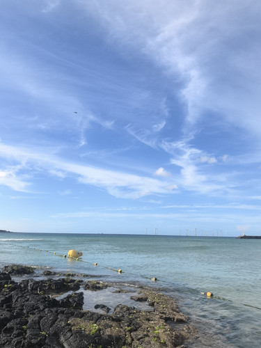 IMG 20240724 172029.jpg