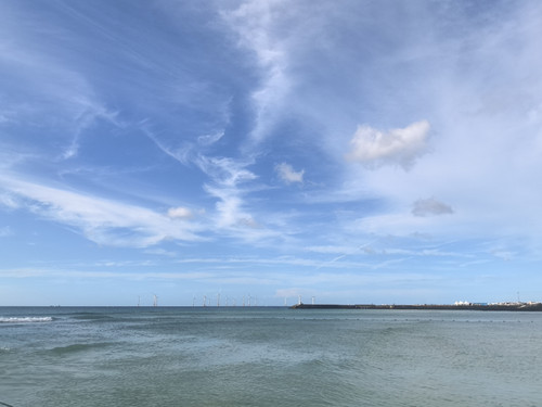 IMG 20240724 172310.jpg