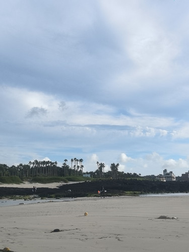 IMG 20240724 174911.jpg