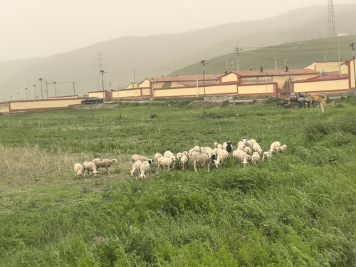 IMG 20240622 154343.jpg