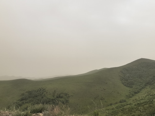 IMG 20240622 161800.jpg