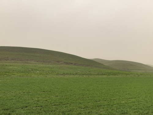 IMG 20240622 154525.jpg