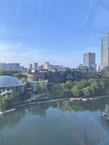 IMG 20250425 173528.jpg