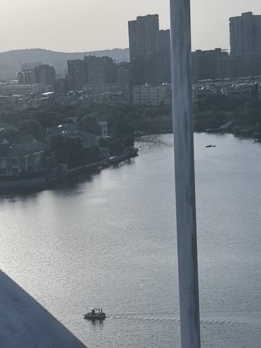 IMG 20250425 173303.jpg