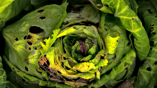 + + +. 5962×3354.png