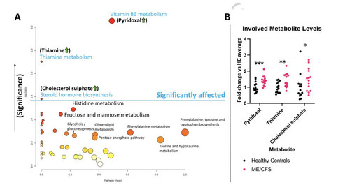 G xj5RqXUAAeDnS?format=jpg.jpg