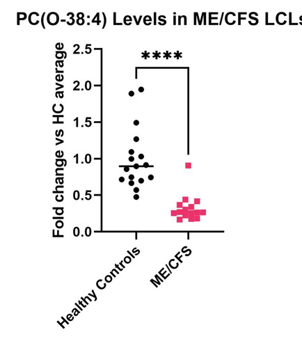 G xj6v WQAAoo0m?format=jpg.jpg