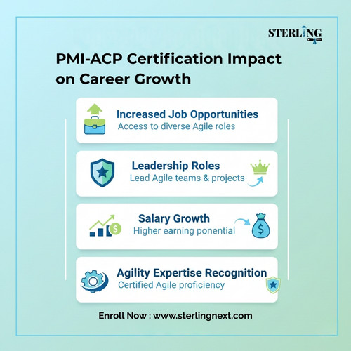 PMI-ACP Certification Impact on Career Growth.jpg