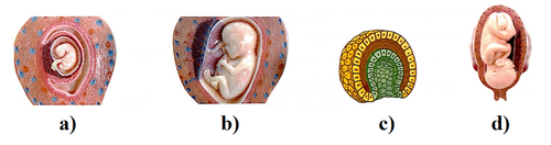 Screenshot (191).png