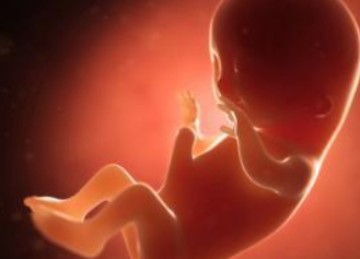 Screenshot (193).png