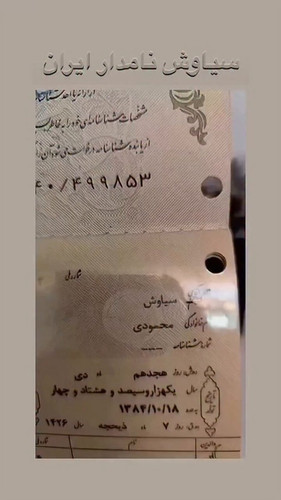 o9bM33rFgV5SRy N.jpg