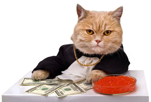 cat caviar.jpg