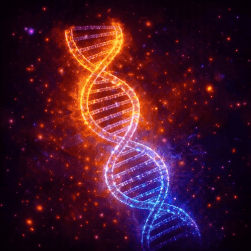 Untitled — копия 13.gif