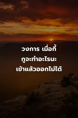 8c1f466cfd9a.webp