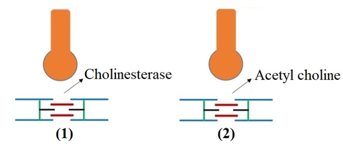 Screenshot (178).png