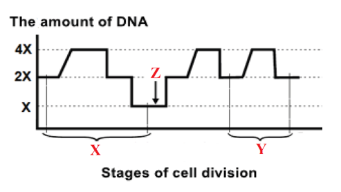 Screenshot (187).png