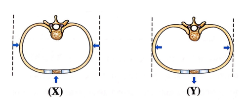 Screenshot (175).png