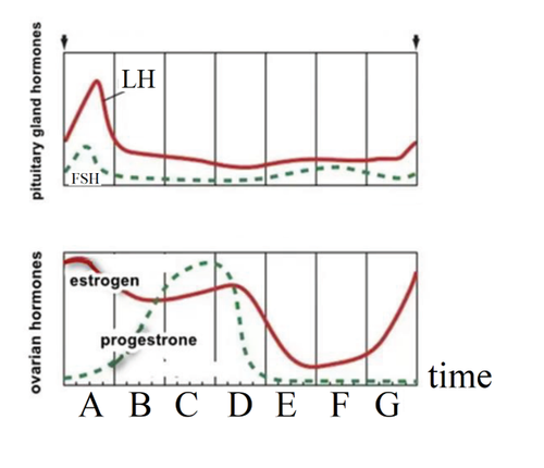 Screenshot (185).png