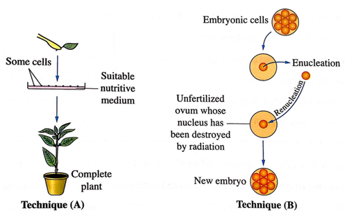 Screenshot (190).png