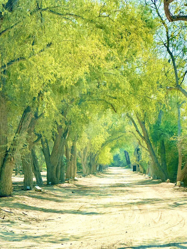 G ntumMbwAAAePf?format=jpg.jpg