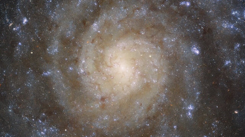 G yih7F600FlIqHG.jpg