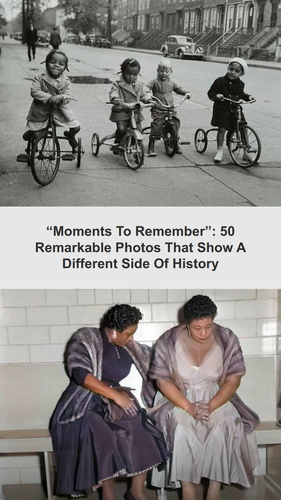 ig tt comments 9c2fc807 9ae9 4d4f bca9 35ae8ddadf1a.png