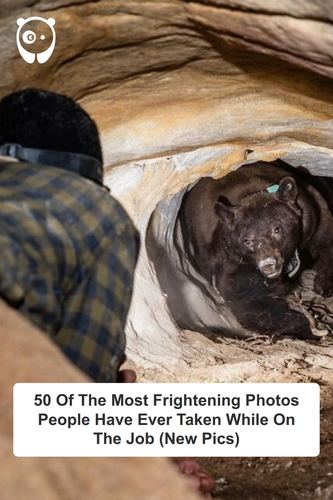 ig tt comments ee0cbcb5 3380 4a09 9acc 412235b79e5f.png