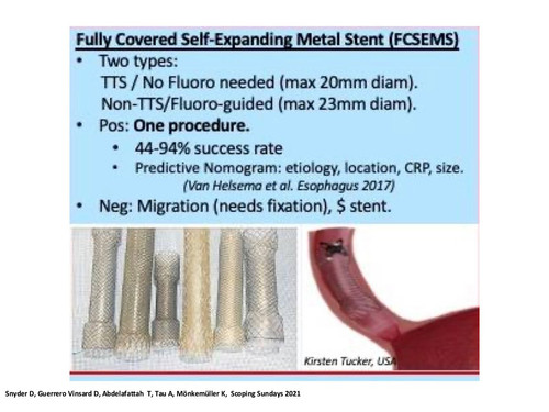 G qSIm1bQAMWzyC?format=jpg.jpg