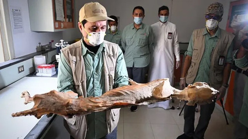 G xB2JjbQAM4smn?format=jpg.jpg