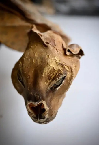 G xB2I5W4AACMA7?format=jpg.jpg