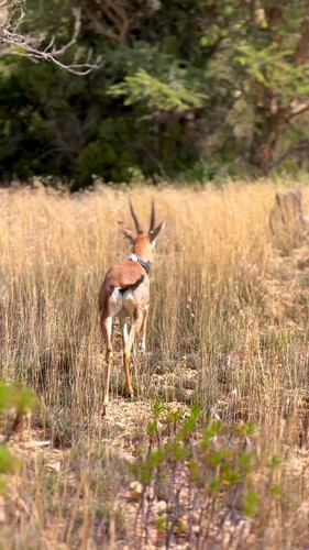 oPtQuM5Zva3h dBA.jpg