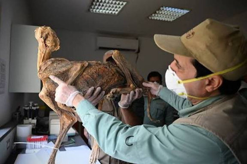 G xB2I4XwAA49A0?format=jpg.jpg