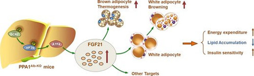 G wSiUUWsAA0 k?format=jpg.jpg