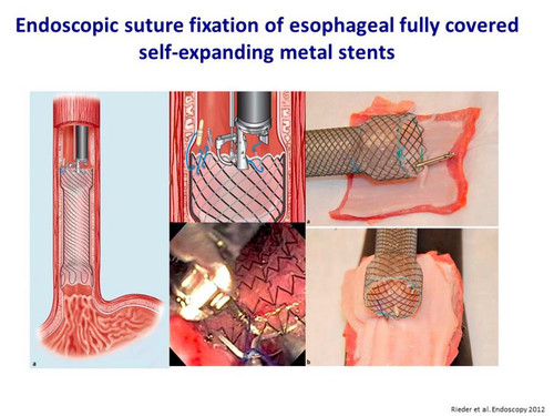 G qSImMakAA6xKw?format=jpg.jpg