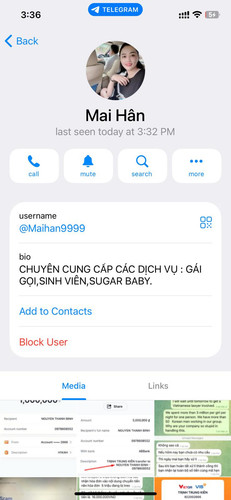 Telegraph connection 5.jpg