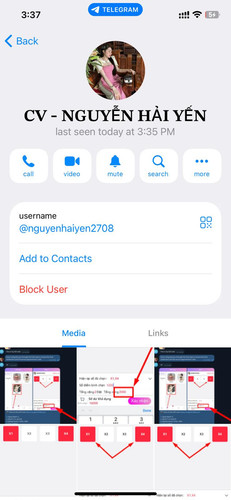 Telegraph connection 6.jpg