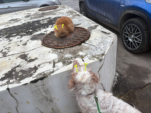 421999fe 537c 499e 9757 db801eb3b614.jpg