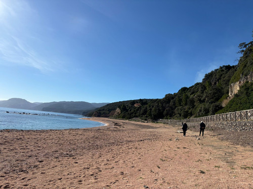 42B8C3D2 ED64 45F8 9BB6 0F16A727689A.jpg