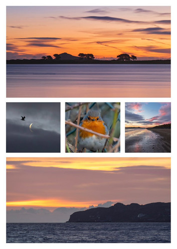 G p0eNmbQAchor2?format=jpg.jpg