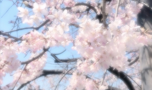 Screenshot 2026 01 15 21 50 18 927 com.xingin.xhs edit.jpg