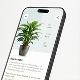 phone mockup 2